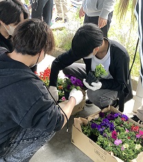園芸作業